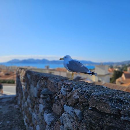 Sweet Azur - Host Provence Lägenhet Le Cannet Exteriör bild