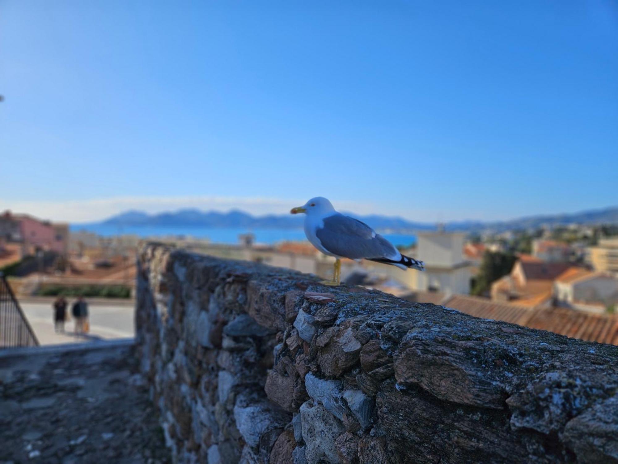 Sweet Azur - Host Provence Lägenhet Le Cannet Exteriör bild