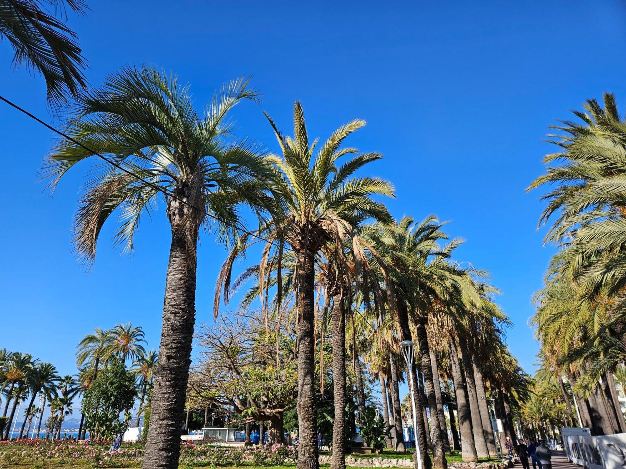 Sweet Azur - Host Provence Lägenhet Le Cannet Exteriör bild